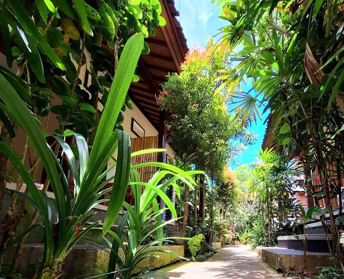 Villa Yessi House Ubud